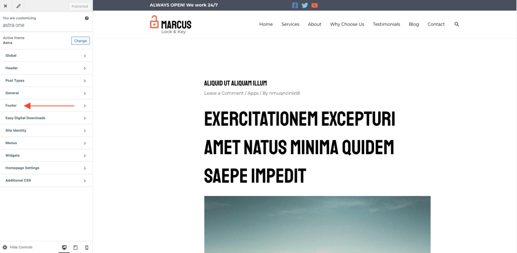 Go to Appearance > Customize > Footer