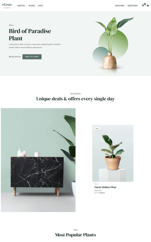 eGrow Plants