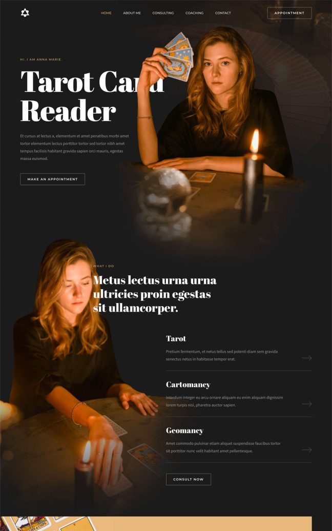 Tarot Card Reader
