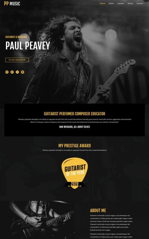 Guitarist