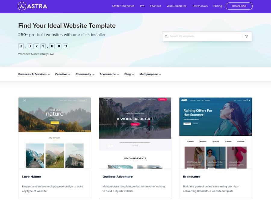 Website Themes and Templates